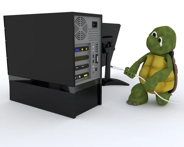 Schildpad met een computer — Stockfoto