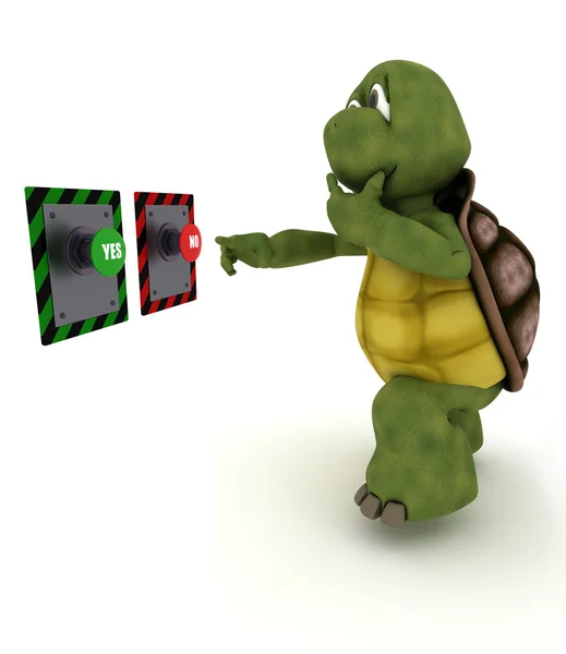 밀어 어떤 버튼을 결정 하는 거북이 — 스톡 사진