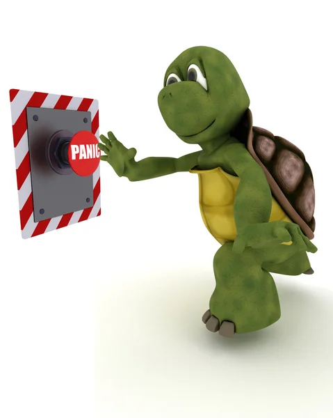 Schildkröte auf Knopfdruck — Stockfoto
