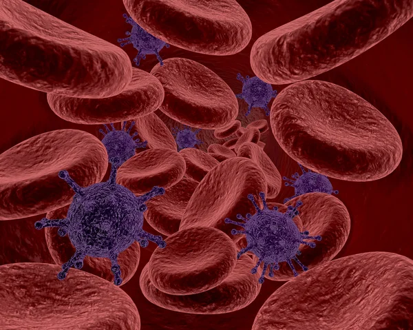 Cellule del sangue e batteri — Foto Stock