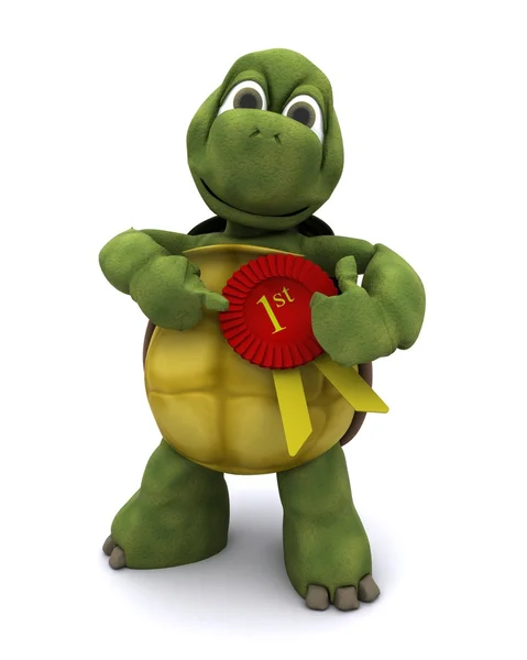 Schildpad met een rozet — Stockfoto