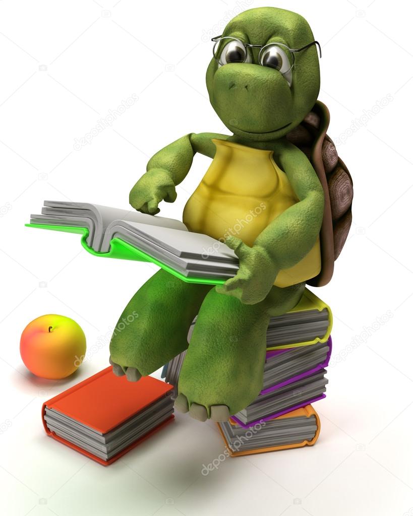 Tortoise reading a book