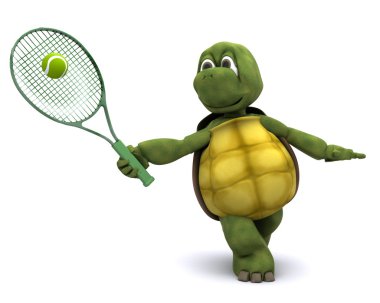 Tenis oynamak kaplumbağa