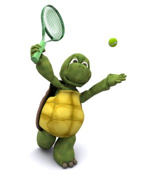Tenis oynamak kaplumbağa