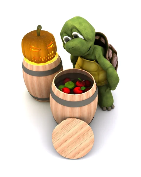 Tortuga para las manzanas — Foto de Stock