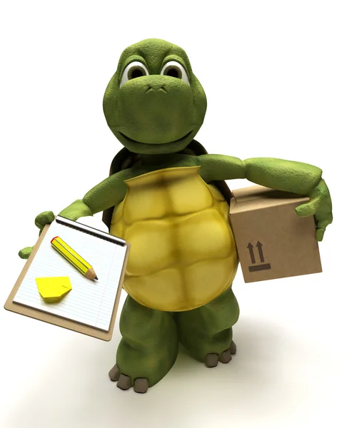 Sköldpadda leverera ett paket — Stockfoto