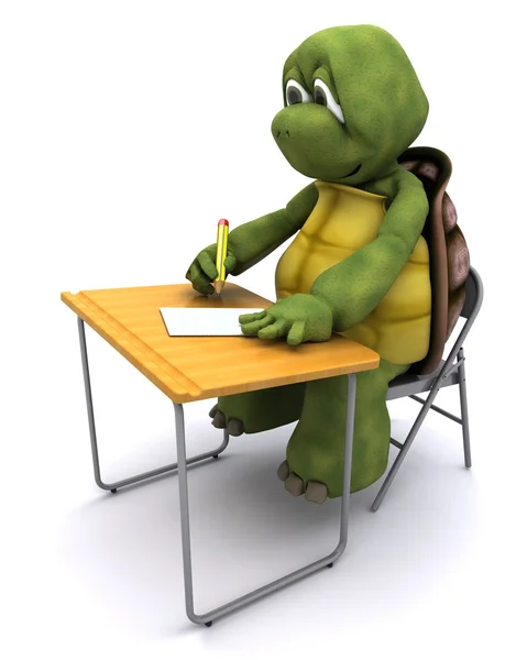 Tortoise sat at school desk — Stock Photo, Image