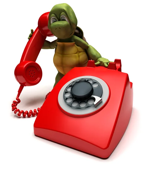 Черепаха з телефоном — стокове фото