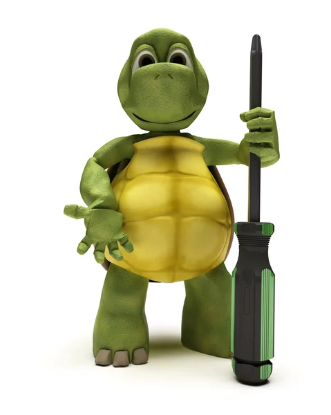 Sköldpadda med en skruvmejsel — Stockfoto
