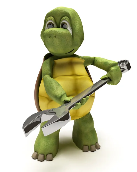 Kaplumbağa ile bir İngiliz anahtarı — Stok fotoğraf