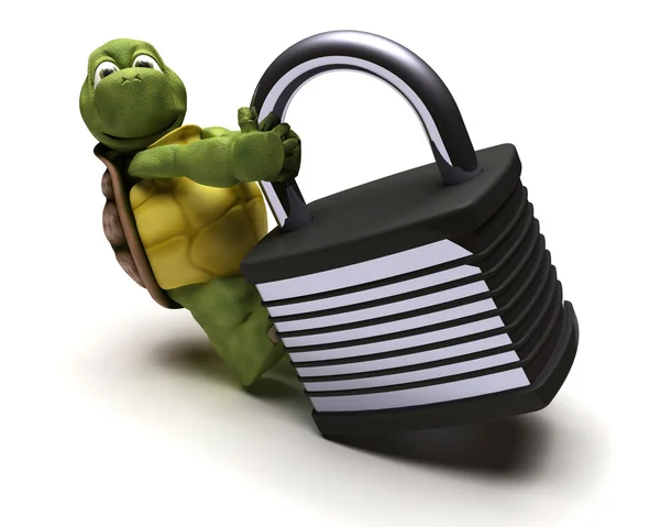 挂锁的乌龟 — 图库照片