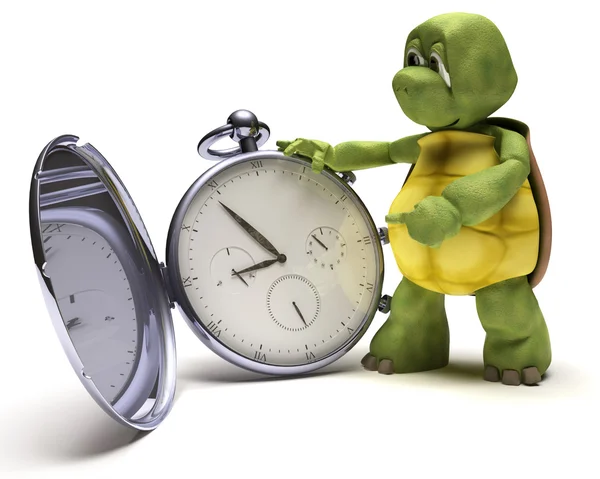 Tartaruga com um relógio de bolso clássico — Fotografia de Stock
