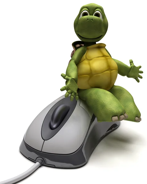 Schildkröte mit einer Computermaus — Stockfoto