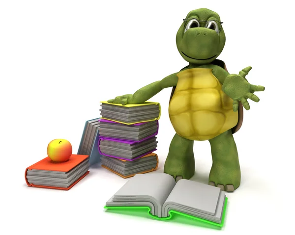 Tortue lisant un livre — Photo