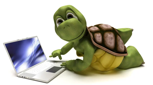 Tartaruga em um computador portátil — Fotografia de Stock