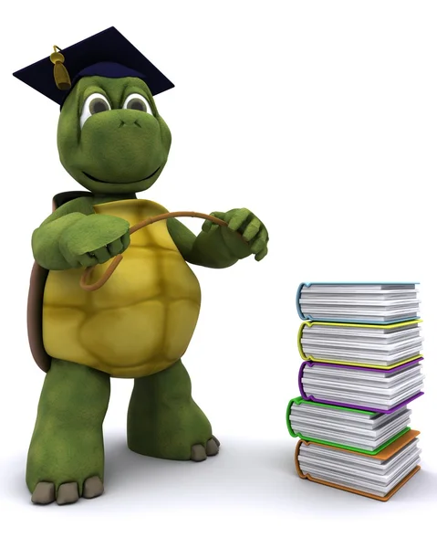 Insegnante di tartaruga con una pila di libri — Foto Stock