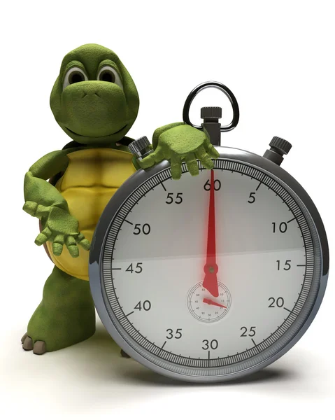 Tortoise with a traditional chrome stop watch — Stock Photo, Image