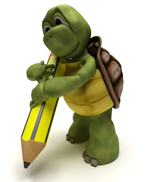 Tortoise holding a pencil — Stock Photo, Image