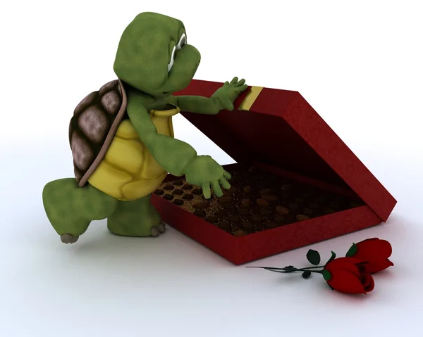 Tortuga con regalo romántico — Foto de Stock