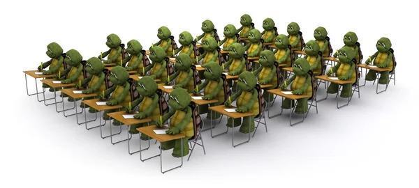 Sköldpadda satt på skolan skrivbord — Stockfoto