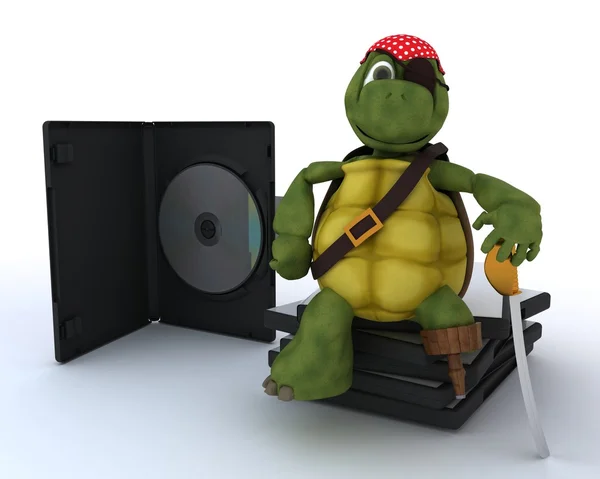 Pirate Tortoise with DVD CD and Software — Stock Photo, Image