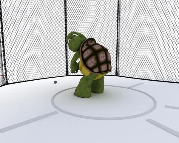 Sköldpadda tävlar i hammare kasta — Stockfoto