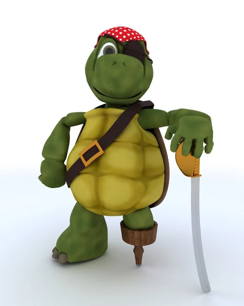 Tortoise dressed as a pirate — Stock Photo, Image