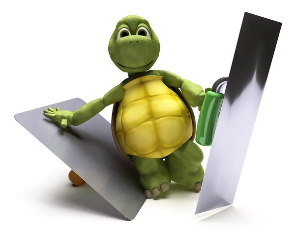 Tortoise with plastering tools — Stock Photo, Image