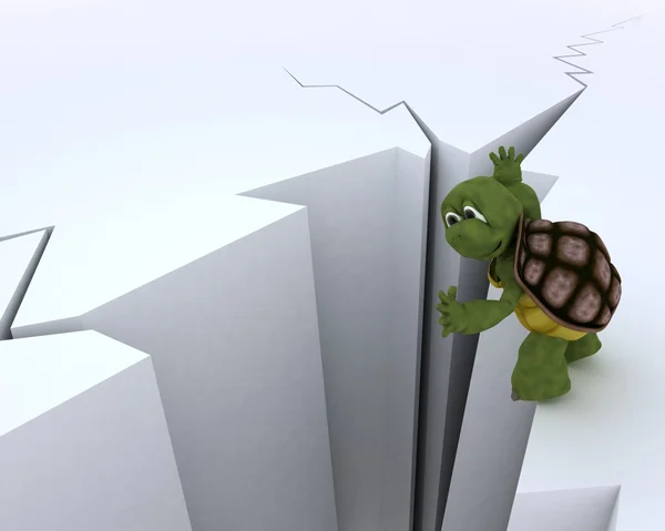Bir uçurumun kenarında kaplumbağa — Stok fotoğraf