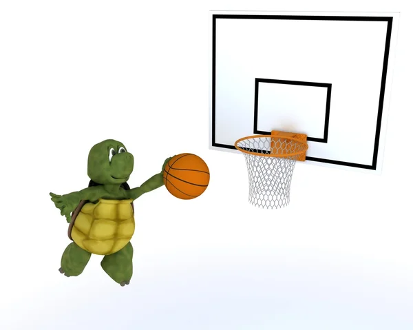 Sköldpadda spela basketboll — Stockfoto