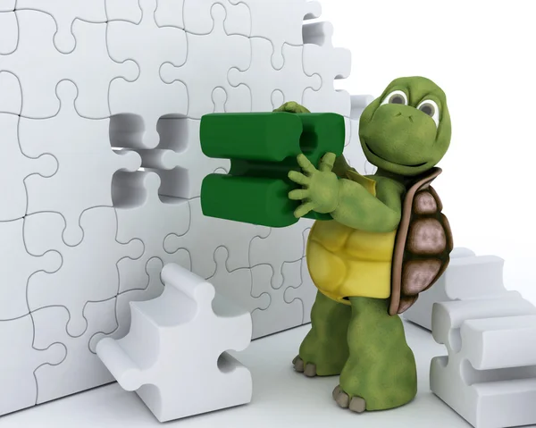 Schildpad met puzzel — Stockfoto