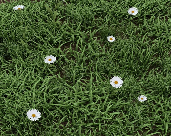 Flores de primavera em flor — Fotografia de Stock