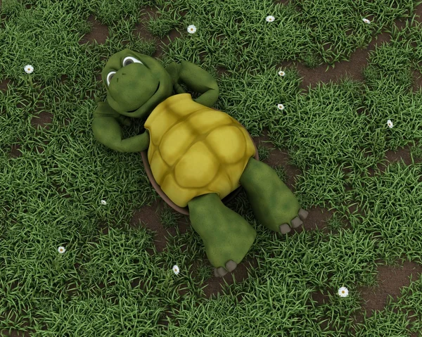 Želva ležet na trávě v květech — Stock fotografie