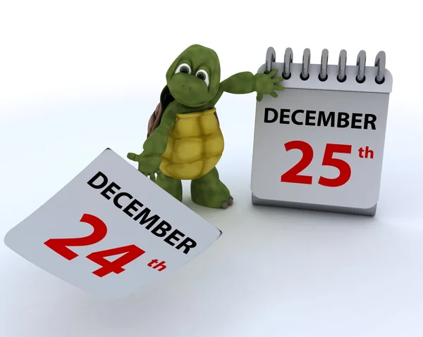 Tartaruga com um calendário — Fotografia de Stock