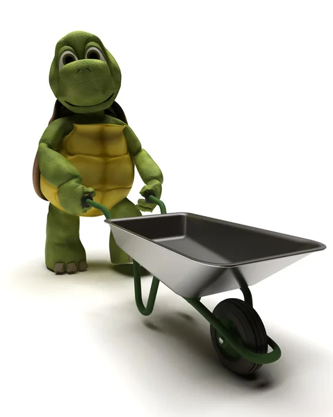 Schildpad met een wiel barrow — Stockfoto