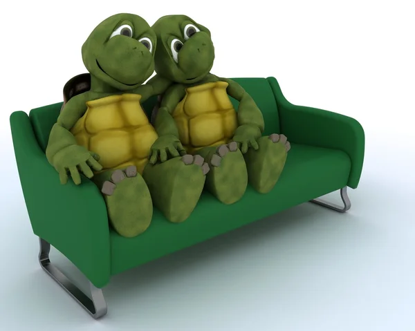 Kilpikonna sohvalla — kuvapankkivalokuva