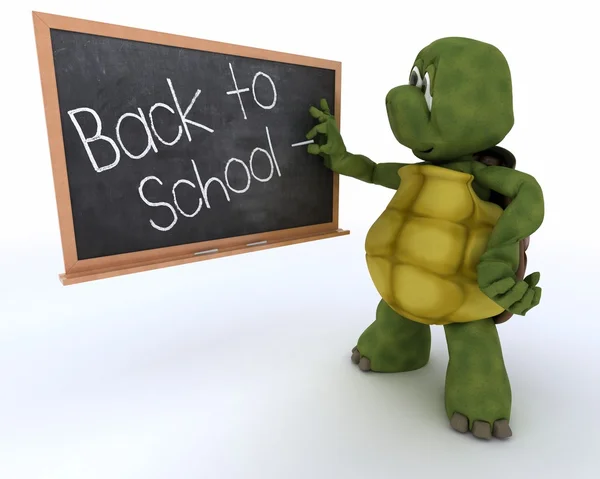 Tortoise with school chalk board back to school — Stock Photo, Image