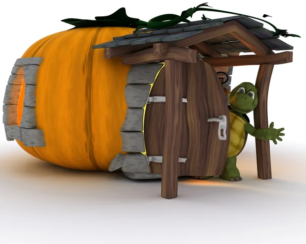 Tortoise in Halloween Pumpkin Cottage — Stock Photo, Image
