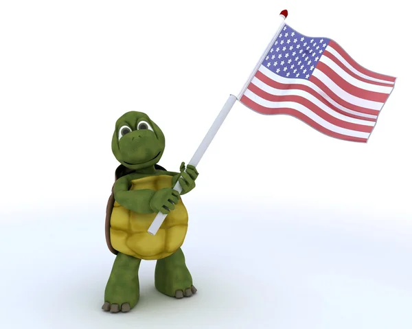 Kilpikonna Amerikan lipulla — kuvapankkivalokuva