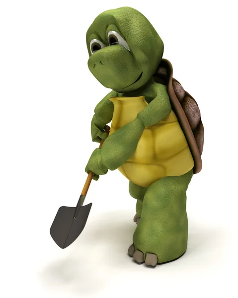 Tortoise with a spade — Stock Photo, Image