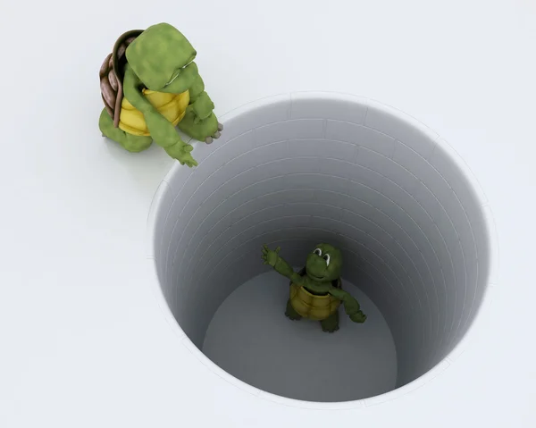 Tortoise stuck in a hole metaphor — Stock Photo, Image