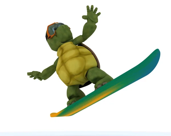 Tortue chevauchant un snowboard — Photo