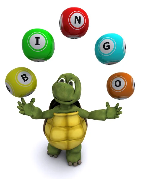 Tortoise with bingo balls — Stock Photo, Image