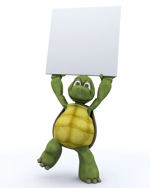 Tortoise with a blank white sign — Stock Photo, Image