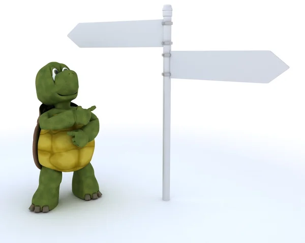 Tortoise with sign post — Stock Photo, Image