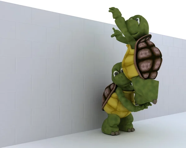 Schildpadden elkaar te helpen — Stockfoto
