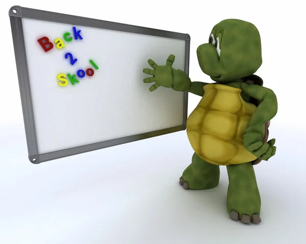 Tortoise with White class room drywipe marker board — Stock Photo, Image