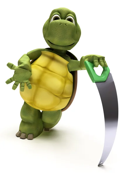 Tortoise with a wood saw — Stock Photo, Image