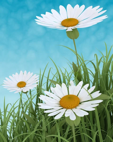 Flores de Primavera en Hierba sobre cielo azul — Foto de Stock