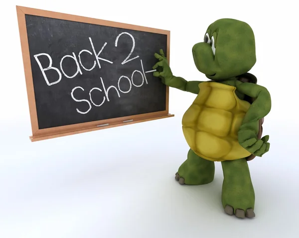 Sköldpadda med skolan krita ombord tillbaka till skolan — Stockfoto